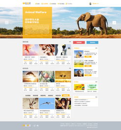 網(wǎng)站設(shè)計 從構(gòu)思到實(shí)現(xiàn)的設(shè)計稿之旅